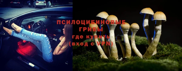 синтетический гашиш Алексин