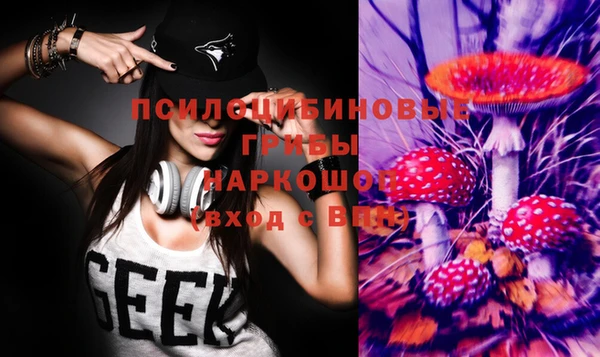 синтетический гашиш Алексин