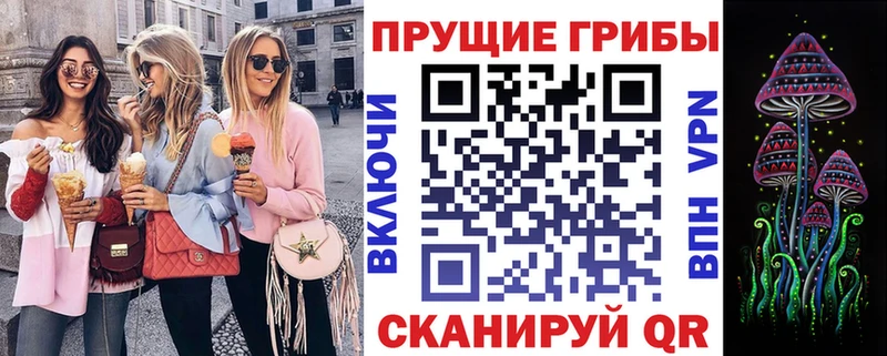 Галлюциногенные грибы Psilocybe Тихвин